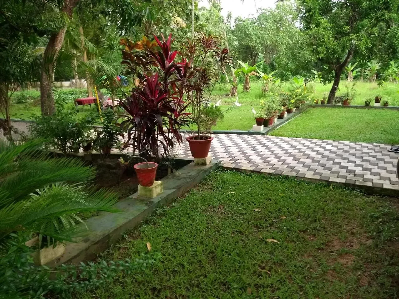Aqualillies Water Front Heritage Homestay Kumarakom
